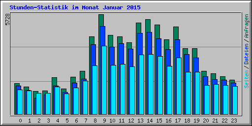 Stunden-Statistik im Monat Januar 2015