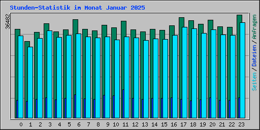 Stunden-Statistik im Monat Januar 2025