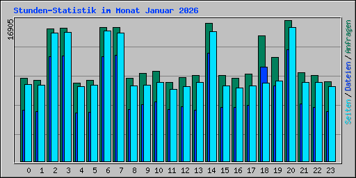 Stunden-Statistik im Monat Januar 2026