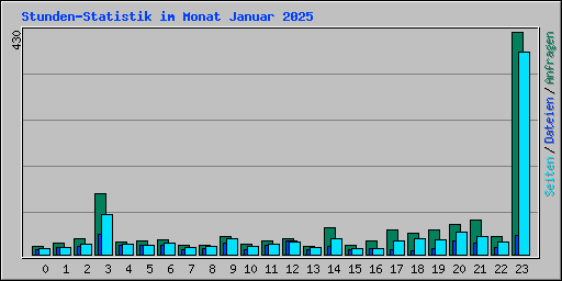 Stunden-Statistik im Monat Januar 2025