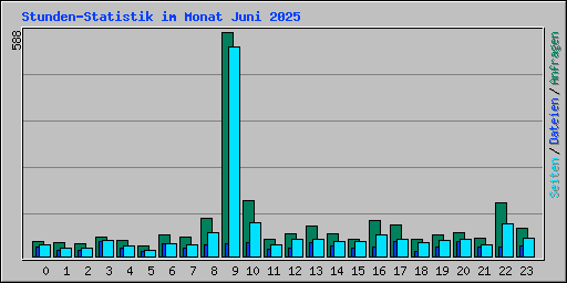 Stunden-Statistik im Monat Juni 2025