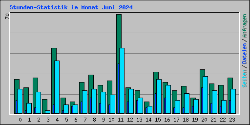Stunden-Statistik im Monat Juni 2024