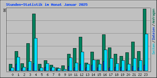 Stunden-Statistik im Monat Januar 2025