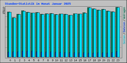 Stunden-Statistik im Monat Januar 2025