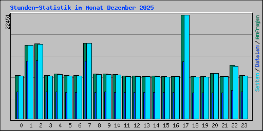 Stunden-Statistik im Monat Dezember 2025