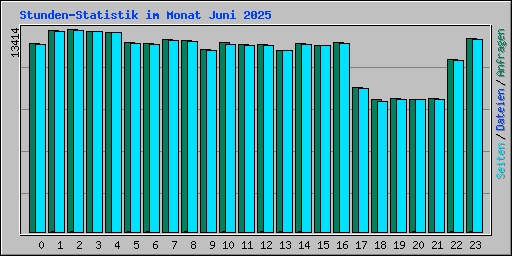 Stunden-Statistik im Monat Juni 2025