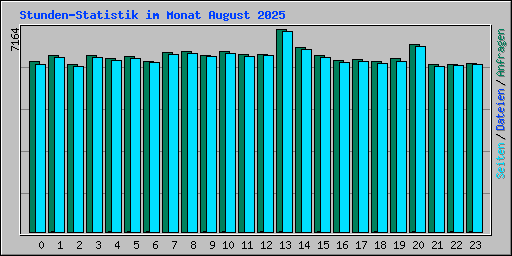 Stunden-Statistik im Monat August 2025